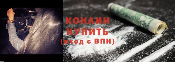 прущие грибы Балахна
