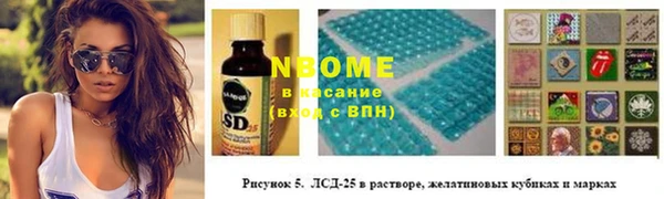 прущие грибы Балахна