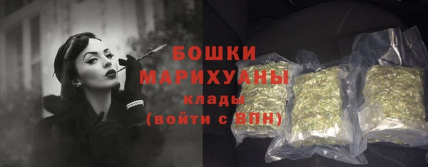 прущие грибы Балахна