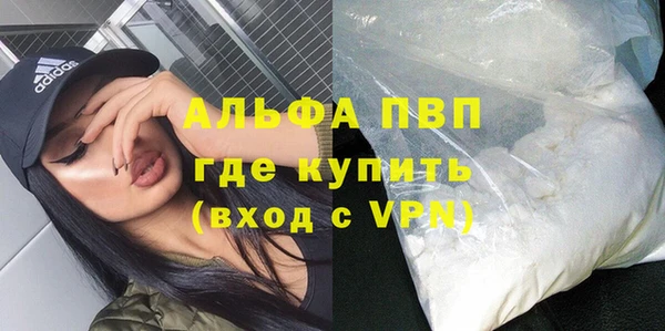 прущие грибы Балахна
