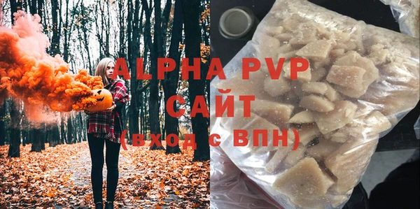прущие грибы Балахна