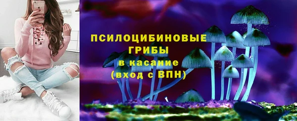 прущие грибы Балахна