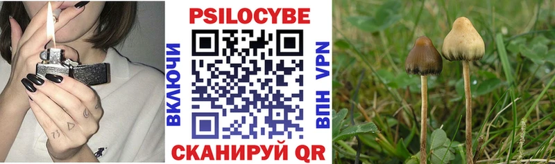 Галлюциногенные грибы MAGIC MUSHROOMS  Сатка 